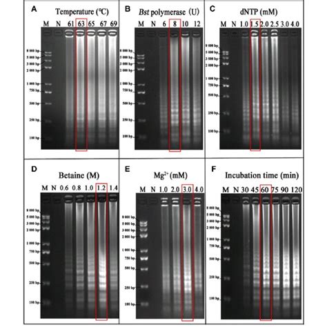 Optimization Of The Reaction Conditions Of PSR Assay A PSR Assay