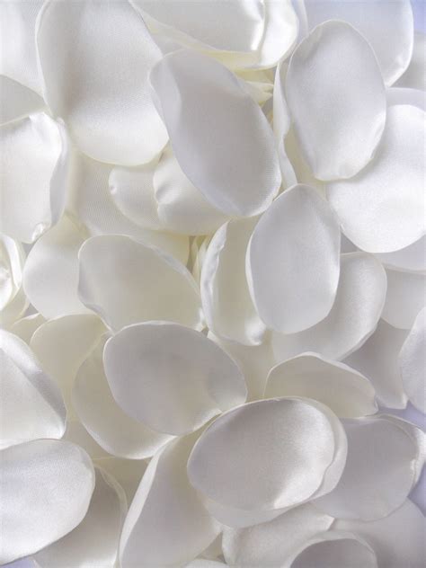 White Rose Petals Сlassical Wedding Traditional Wedding - Etsy