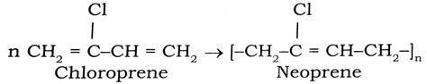 Polymers Long Answer Type Questions High Target