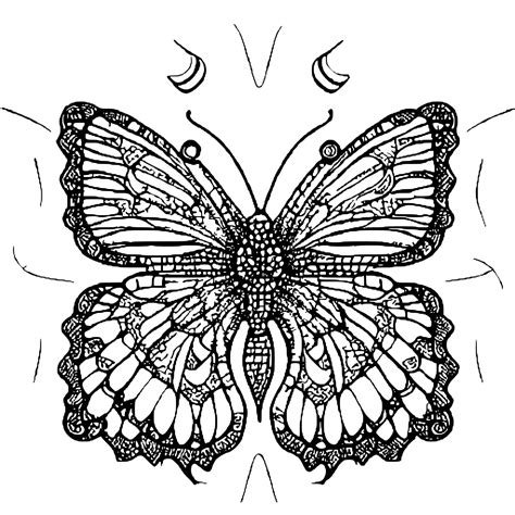 Advanced Butterfly Themed Mandala Coloring Page · Creative Fabrica