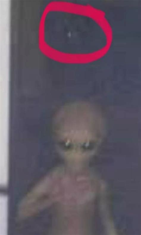 Uri Geller Unveils Real Photo Of Naked Alien With Prominent Lady Bits Daily Star