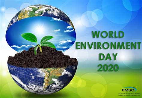 World Environment Day – Emirates Motorsports Organization