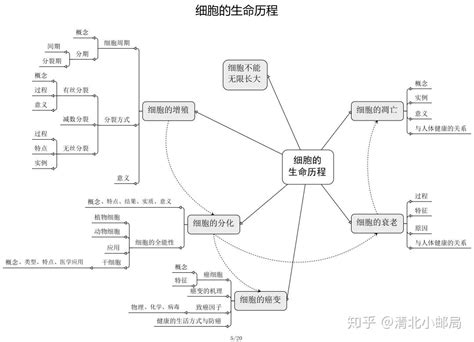 高中生物必修20张思维导图＋287条总结 课本重点全在这里了，吃透高考不下98！ 知乎