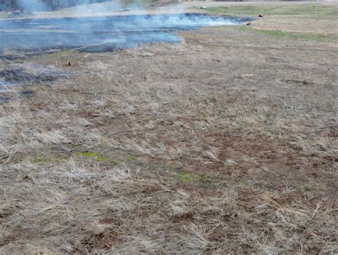 How Prescribed Burns Revitalize Natural Areas News Article