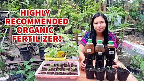 Paano Gumawa Ng 3 Types Ng Fermented Organic Fertilizer Pampabulaklak