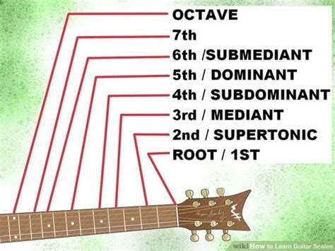 How To Learn Guitar Scales With Pictures Wikihow Basic Guitar Lessons Learn Guitar Scales