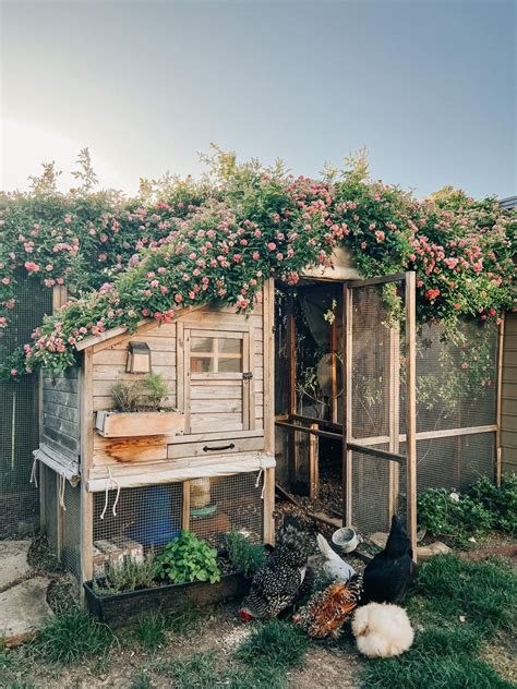 Chicken Coop Garden Cute Chicken Coops Backyard Chicken Coop Plans