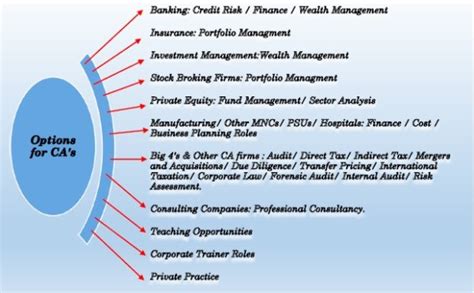 The Evolution Of A Chartered Accountant