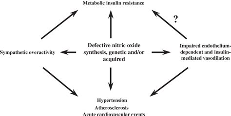 Figure 1 From Defective Nitric Oxide Synthesis A Link Between