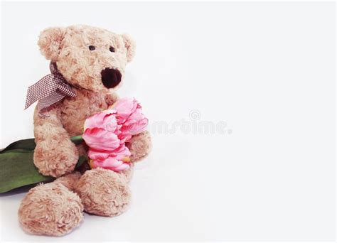 Stuffed Toy Teddy Bear With Pink Flowers Tulip For Valentine`s Day And