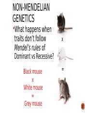 11 Complex Inheritance Codominance And Incomplete Dominance Notes