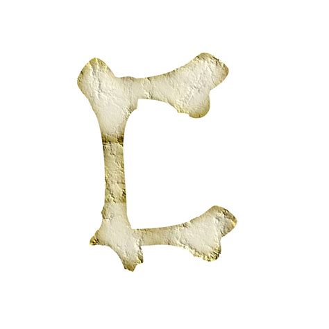 Bone Letters Digital Clipart Printable Bone Alphabet Etsy