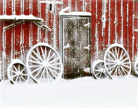 Iowa Blizzard Photograph by Julie Hamilton - Fine Art America