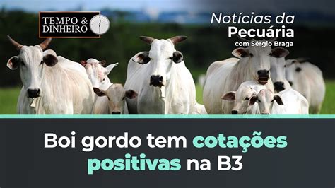 Boi gordo tem cotações positivas na B3 Físico parou de derreter