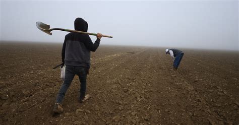 Agricultores De EE UU Preocupados Por Promesas De Deportaciones