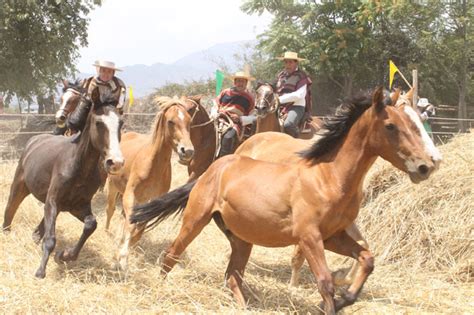 Juegos típicos chilenos las 11 diversiones dieciocheras Icarito