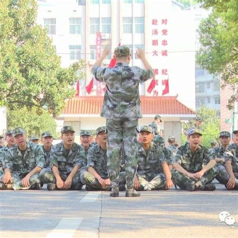 参军报国，无上光荣丨大学生参军入伍：携笔从戎 不负韶华参军入伍新浪新闻