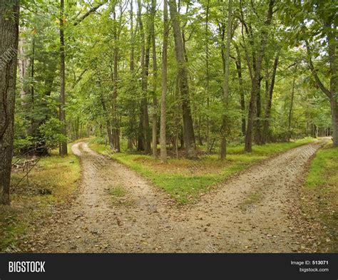 Two Paths Image And Photo Free Trial Bigstock