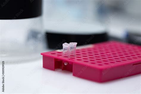 Polymerase Chain Reaction (PCR) and Agarose gel electrophoresis is a ...