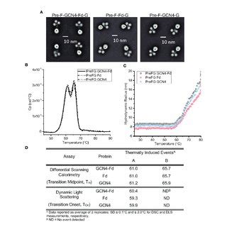 | Biophysical Properties of Pre-F/G Chimeric Proteins with Different... | Download Scientific ...