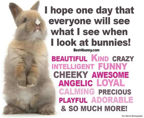 Pin By Rylie On Rabbits Fun Facts Bunny Care Bunny Quotes