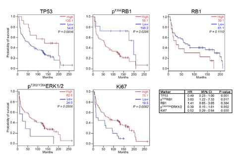 Kaplan Meier Survival Analysis For High And Low Expression Levels Of