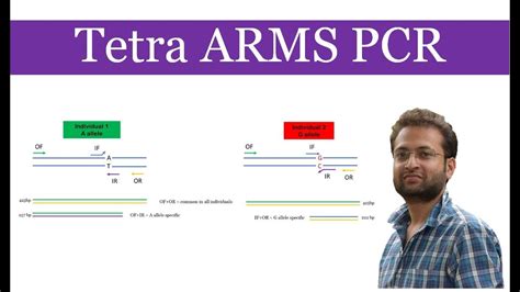 Tetra Arms Pcr What It Is And How It Works Youtube