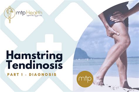 Hamstring Tendinosis