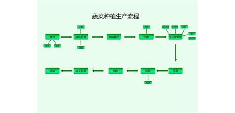 蔬菜种植生产流程图word文档在线阅读与下载免费文档