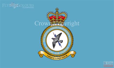 Raf Tactical Communications Wing Flag Officially Licenced Mod Artwork