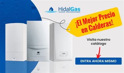 Las Mejores Calderas De Gas Y Condensaci N