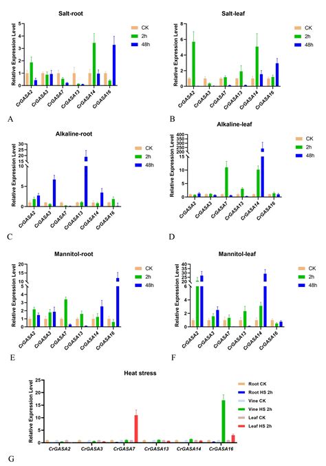 Genes Free Full Text Genome Wide Identification And Functional Analysis Of The Gasa Gene