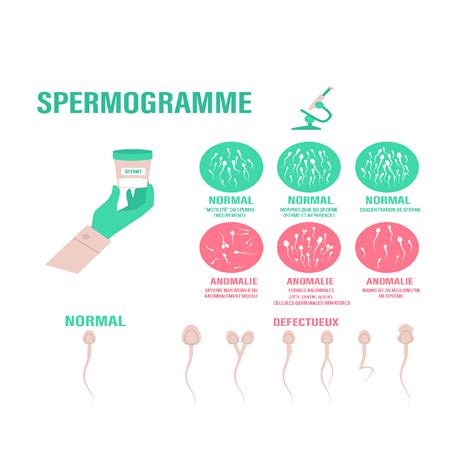 Spermogramme D Roulement Et Pr Cautions Prendre