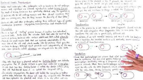 Conjugation, Transformation and Transduction - YouTube