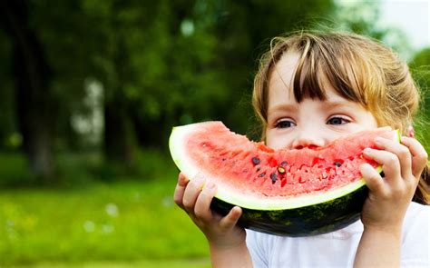 ENFOQUE A LA PRODUCCIÓN DE ALIMENTOS SANOS Innovación agrícola