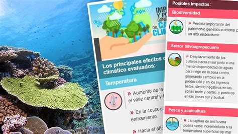 Cambio Climático En Chile ¿cuáles Son Las Principales Que Consecuencias