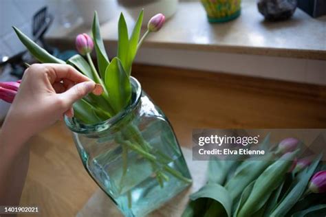 89 Copper Flower Vase Stock Photos High Res Pictures And Images