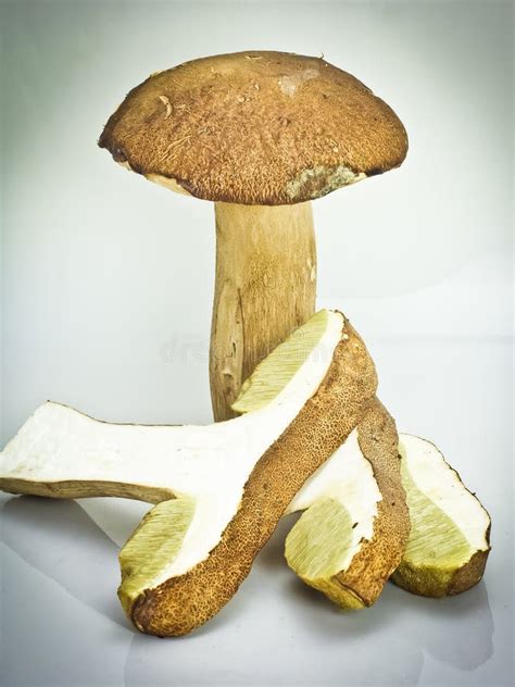 Grand Boletus Brun De Champignon Et Petit Champignon Le Volant Photo