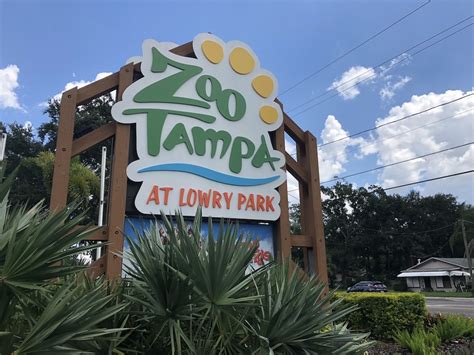 Tampa Bay Zoo | TampaBayWired.com