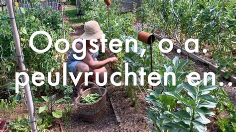 Ini S Moestuin Oogst Peulvruchten Wortels Uien Oerprei Alle