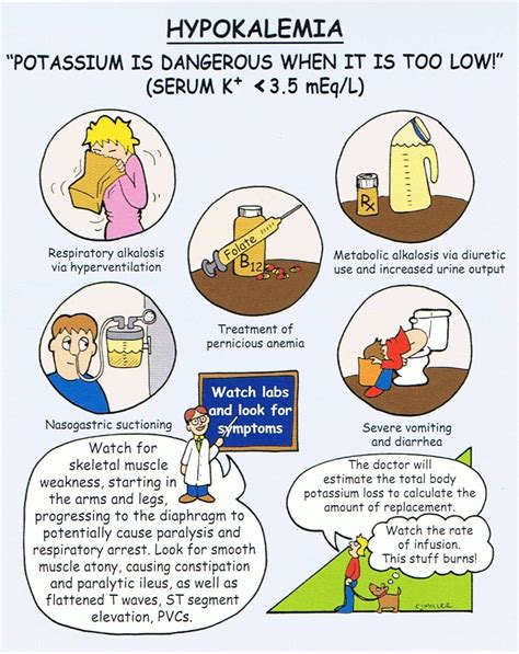 Road To Rn Hyperkalemia And Hypokalemia