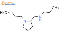 N 1 butylpyrrolidin 2 yl methyl propan 1 amine 901585 73 7 深圳爱拓化学有限公司