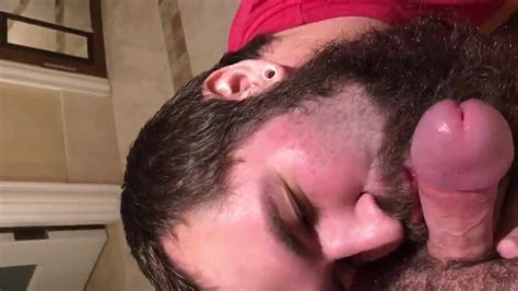 Bearded Cub Sucking Gay Porn XHamster