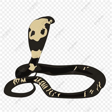 King Cobra Snake Clipart Transparent Png Hd Simple King Cobra