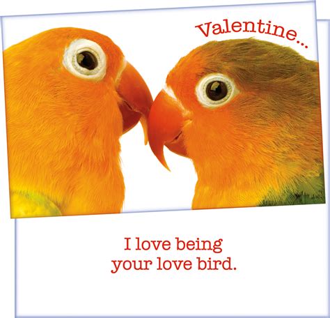 Lovebird Valentines Day Card