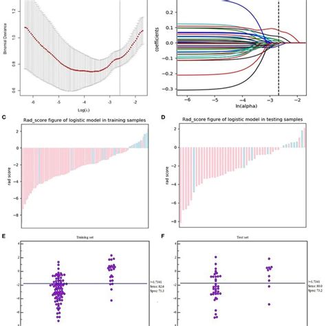 Texture Feature Selection Using The Lasso Logistic Regression A