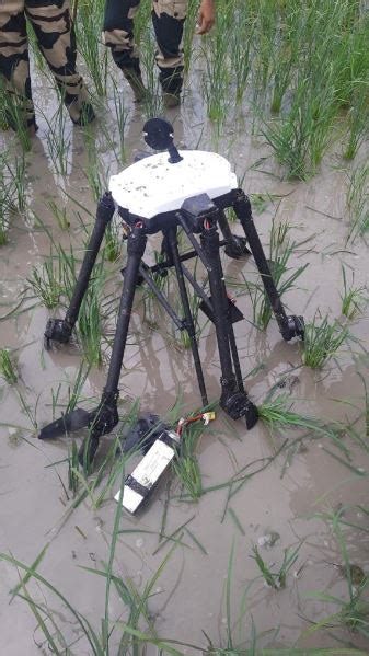 Bsf Recovers Pak Drone Near International Border In Punjabs Tarn Taran