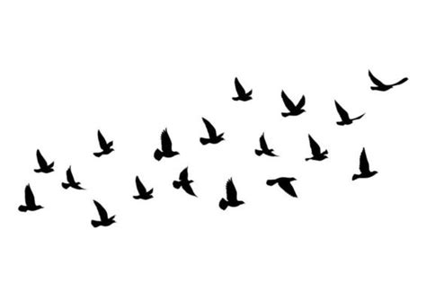 Bird Silhouette Vector Art, Icons, and Graphics for Free Download