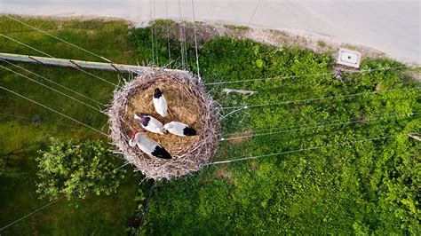 21 Fotografías Captadas Por Drones Que Asombraron Al Mundo En 2015 ¡la