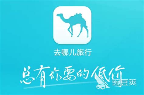 哪个app订机票最划算2022 能便宜订机票的app推荐豌豆荚